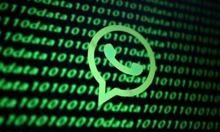 Whatsapp Info Regarding Ticks