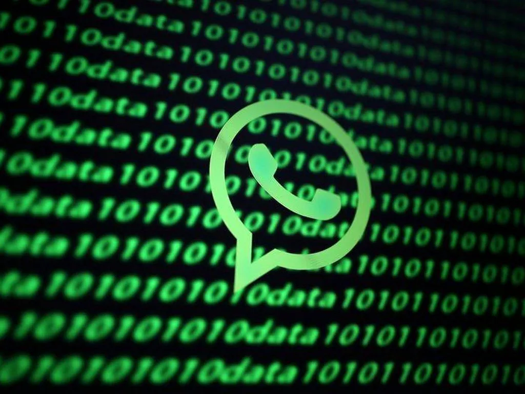 whatsapp info regarding ticks