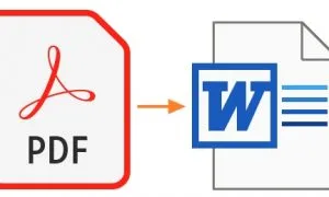 PDF To Word