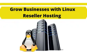 Grow Businesses With Linux Reseller Hosting