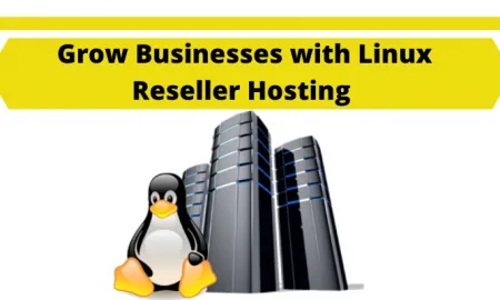 Grow Businesses With Linux Reseller Hosting