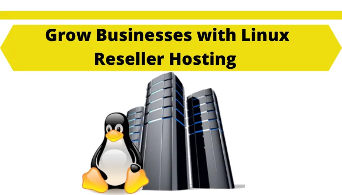 Grow Businesses with Linux Reseller Hosting