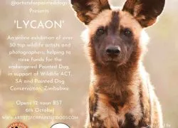 Pressrelease 476685 1600095252