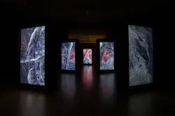 Pressrelease 481238 1607875560