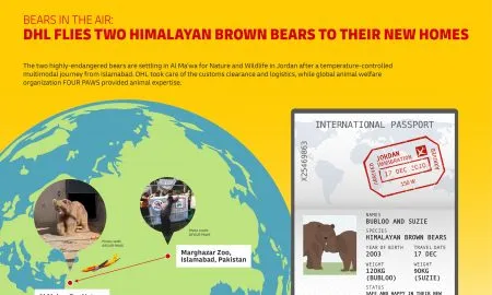 Infographic DHL Flies Two Himala