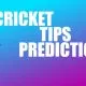 Cricket Tips