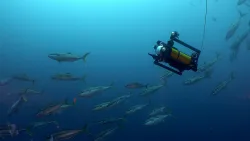 Pressrelease 484947 1614643109