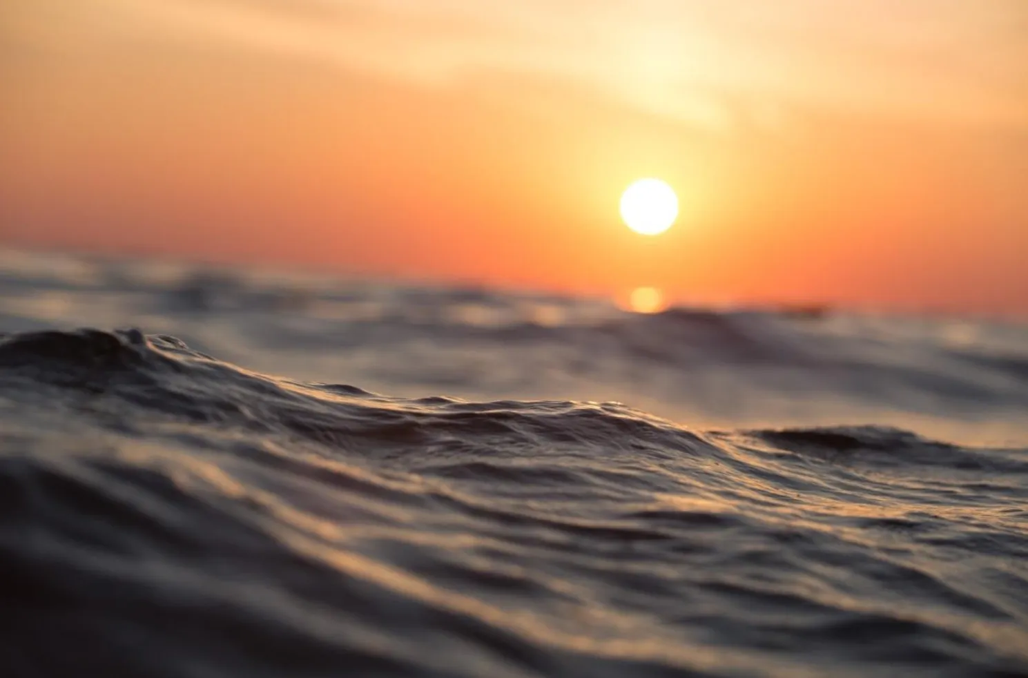 sun-set