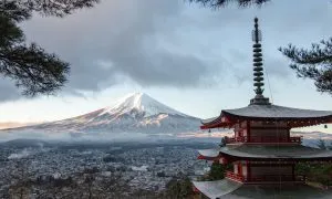 Miscw IPrice Hero Image