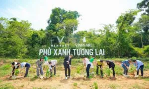 Plant A Tree 2
