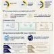 SBS Infographic 2022 HK EN