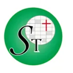 Silicon Topology Logo