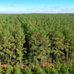 Toledo Acquisition Press Release Image