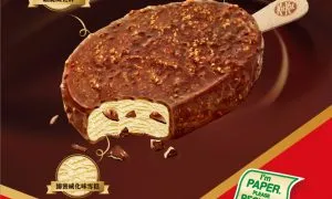 NESTL KITKAT Stick Poster