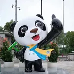 Ciie Picture For The Article