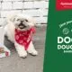 Doggie Doughnuts Media Image 01