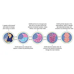 G200 Press Release Image 1