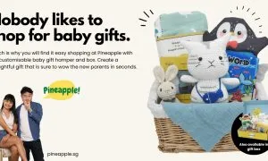 Pineapple PR Banner