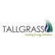Tallgrass Light Background Large Standard Transparent 28129