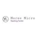 Morse Micro Logo