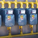 Lora Kiwi Pr Press 1