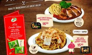 J155664 ANDES A4 Poster