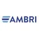 Ambri Logo Color