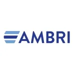 Ambri Logo Color