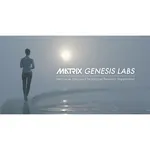 MATRIX GENESIS LABS Metaverse Advanced Technology Laboratory
