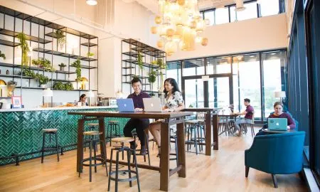 The Hive Carpenter Lounge 2 