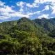 Cordillera Azul National Park
