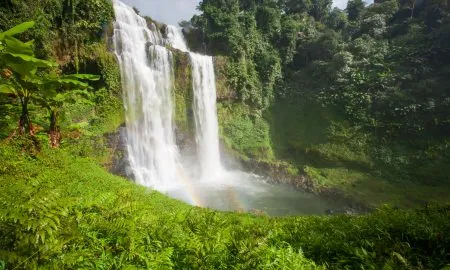 LSB PR5 Feature Image