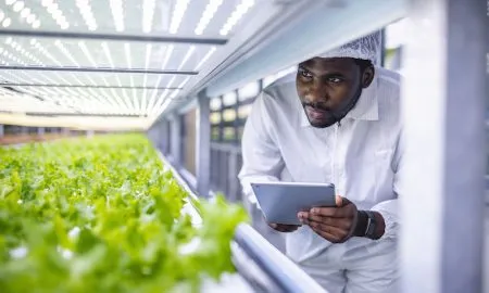 Mowreq And YesHealth Group