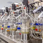 1884ff76 2cba 481e 8b3b Eb422fd0d287 1