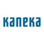 53371514_KANEKA_logo_blue-2800229