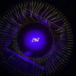 Photo 2023 03 03 10 54 56