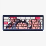 HiGround StreetFighter 024