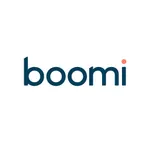 JPG_Boomi_Logo_2Color_Positive