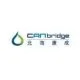 01 CANbridge Logo 1