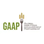 GAAP-web