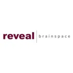 Reveal Brainspace Logo FINAL Color Horizontal PNG