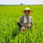 Syngenta And FMC Commercialize Breakthrough Weed Technology