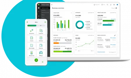 Business Overview Qbo Dashboard 