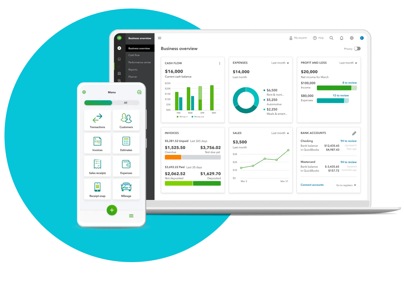 Business Overview Qbo Dashboard
