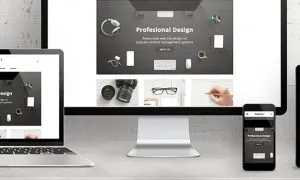 Website Development Solutions