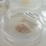 Bovine Muscle Powder