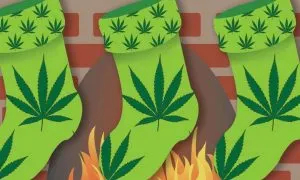 Cannabis Connoisseur