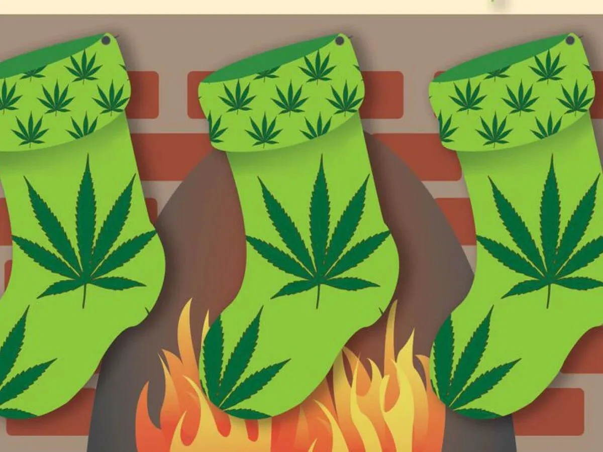 Cannabis Connoisseur