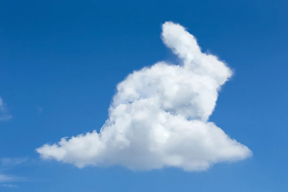Cloud Shapes
