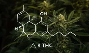 Delta 8 1